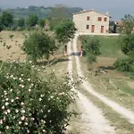 La Campagna Di Assignano *
