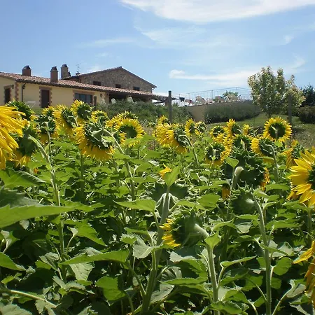 La Campagna Di Assignano Farmház
