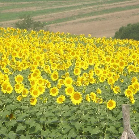 Farmház La Campagna Di Assignano