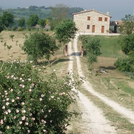 La Campagna Di Assignano *
